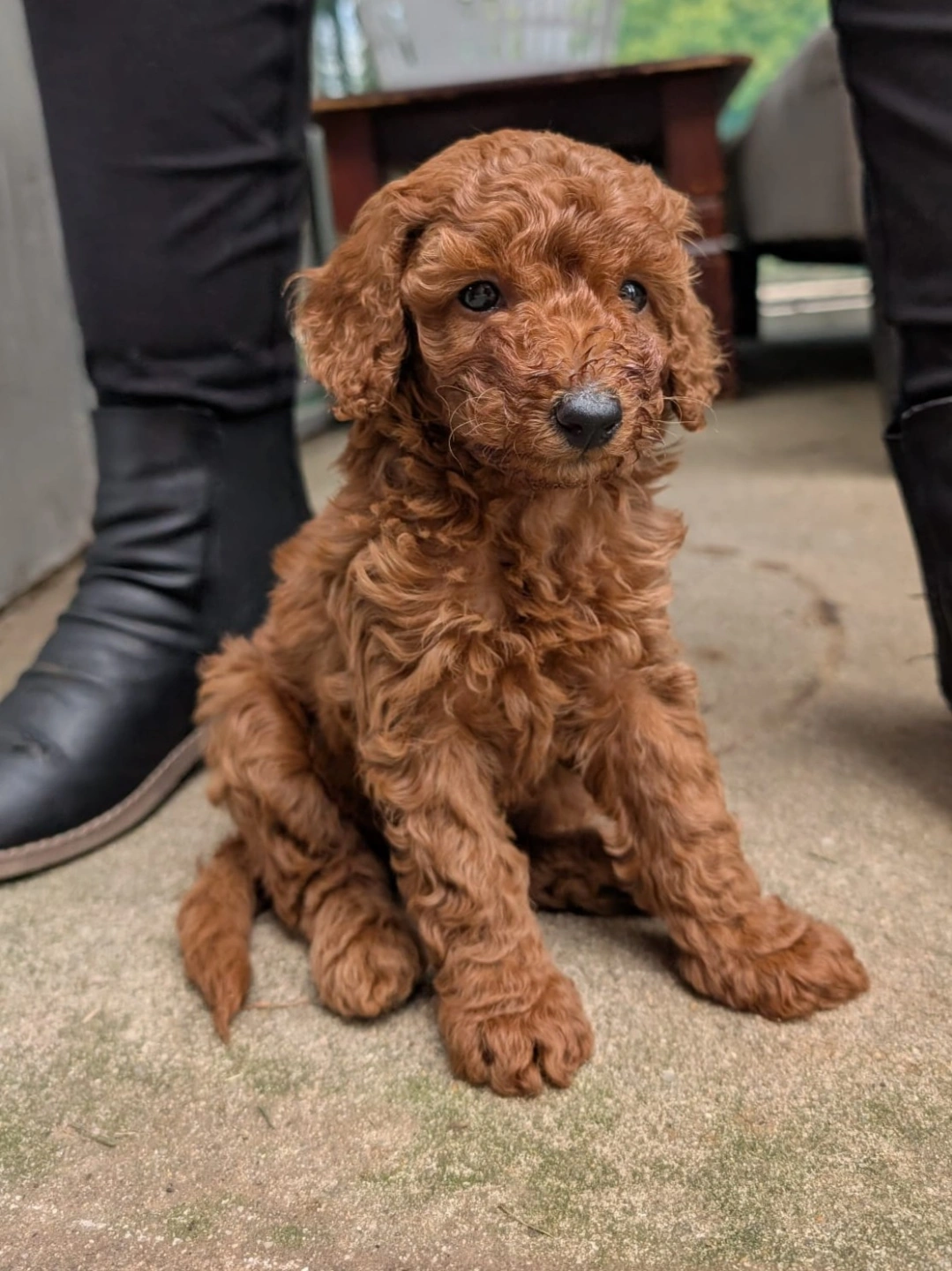 6 weeks 2026-04-01 - 8.jpeg