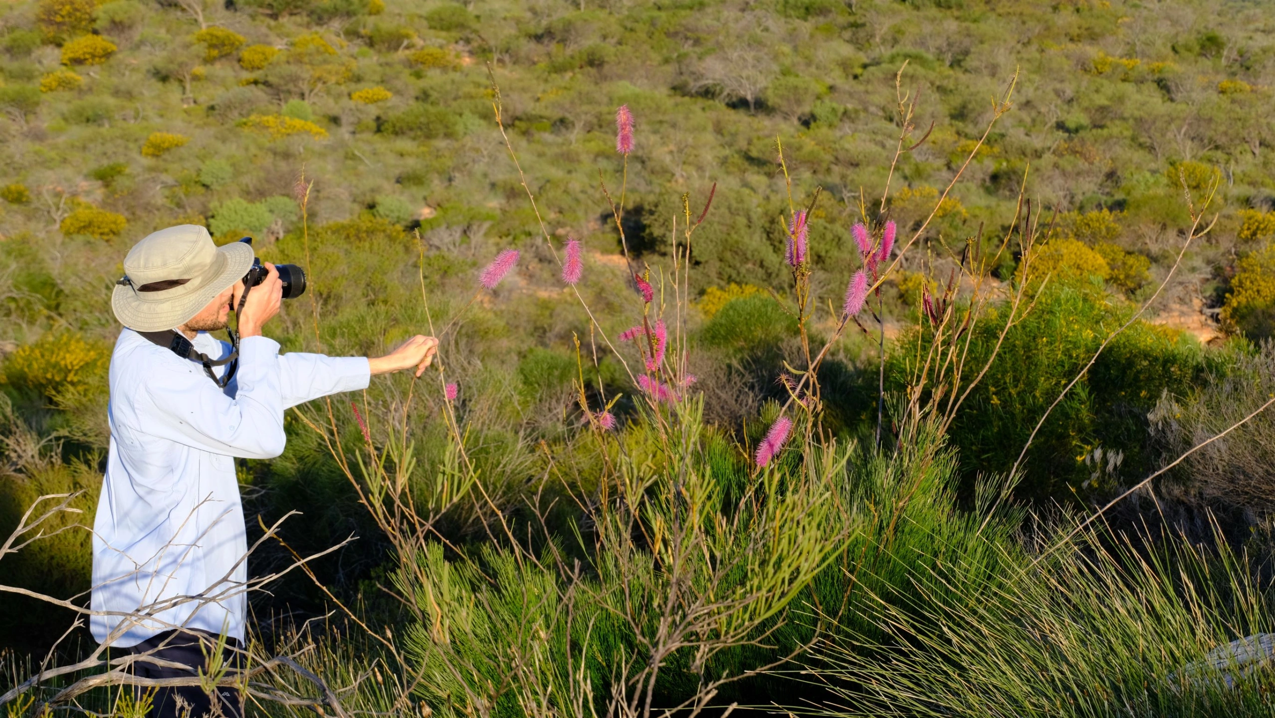 Nick and Pink Poker.JPG