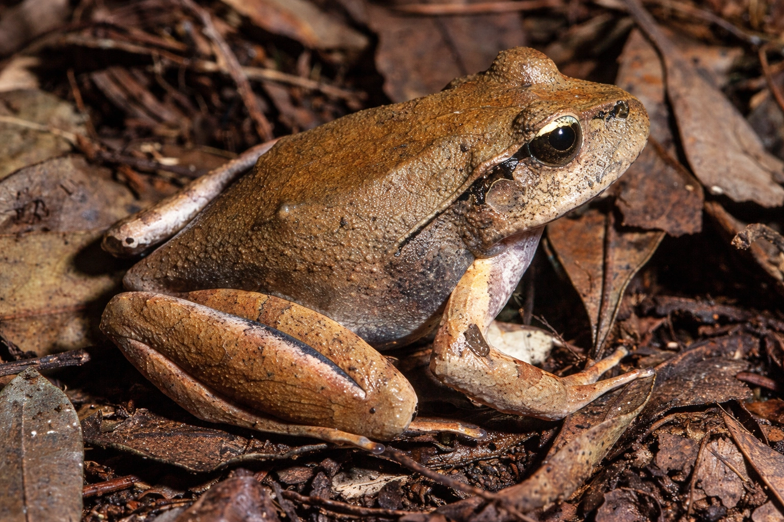 ChatGPT Image Feb 28, 2026, 08_48_27 AM.png