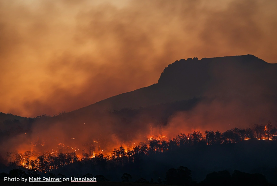 Burning with credit.png