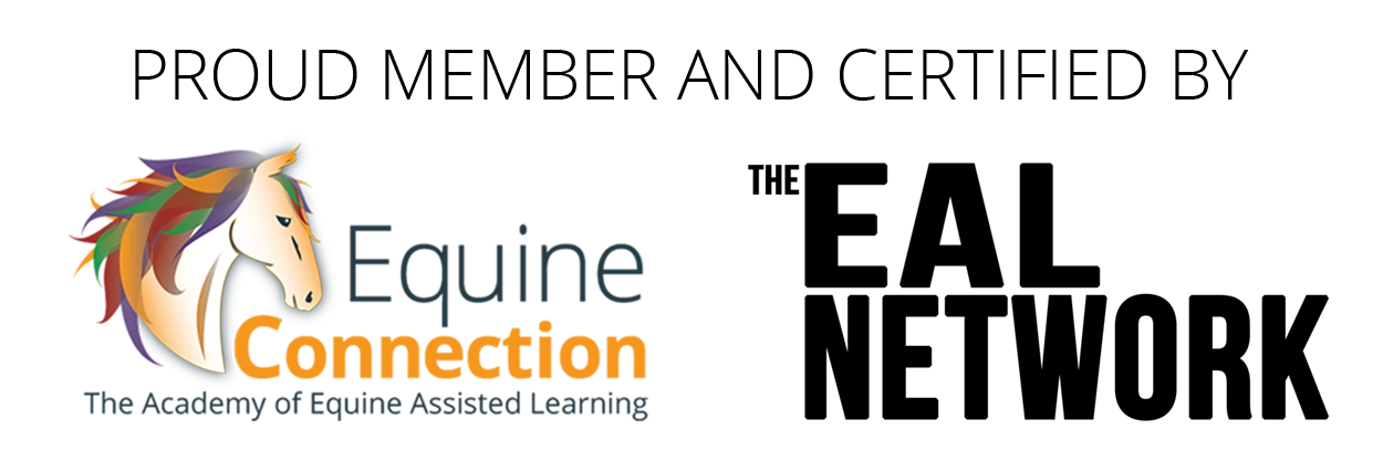 #1 PUT ON WEBSITE - PICTURE OF YOUR PLACE OF CERTIFICATION.png