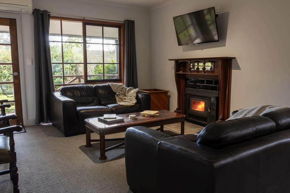 Tumblers Green Living.jpg