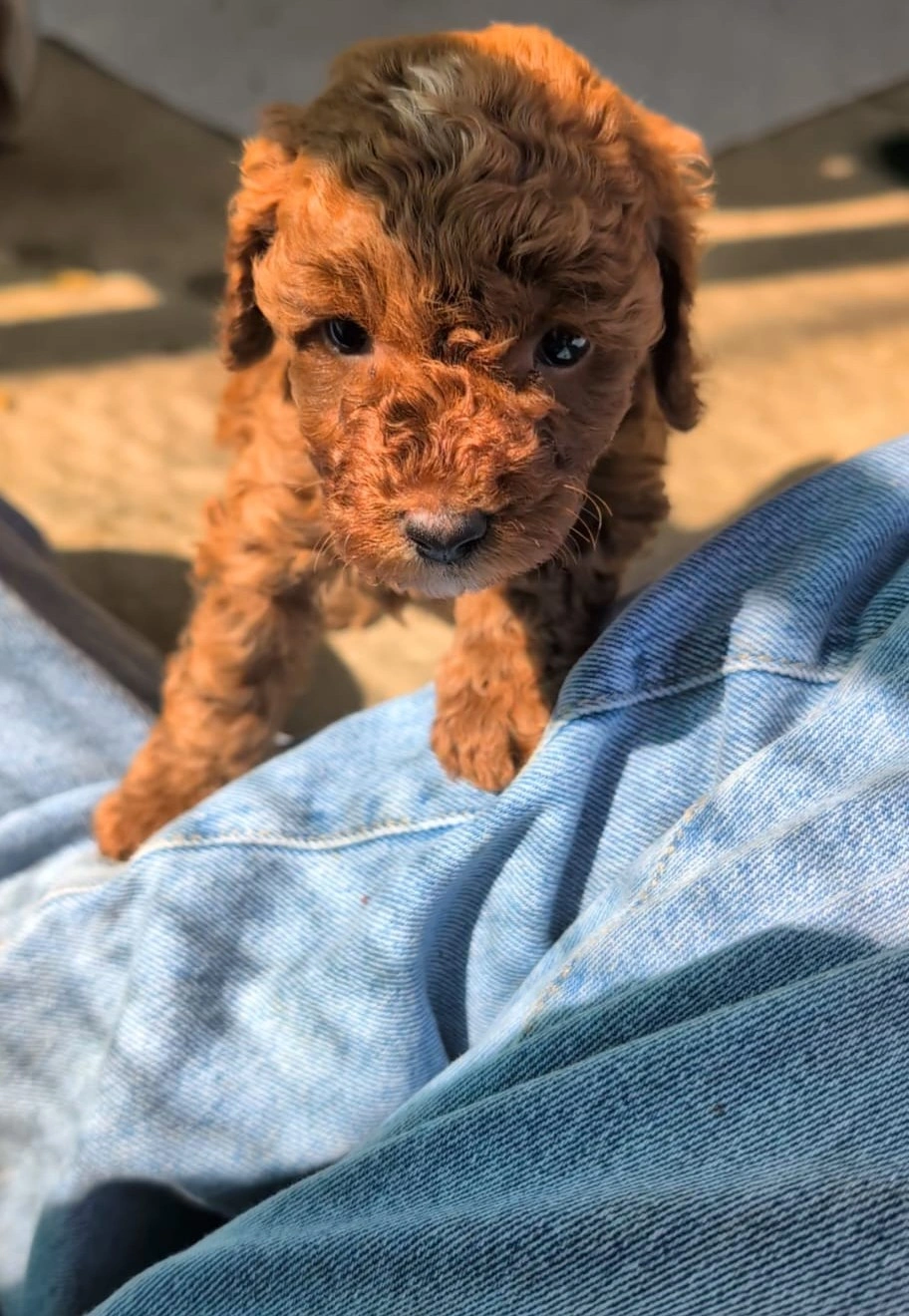 4 weeks - March 23 - 5.jpeg