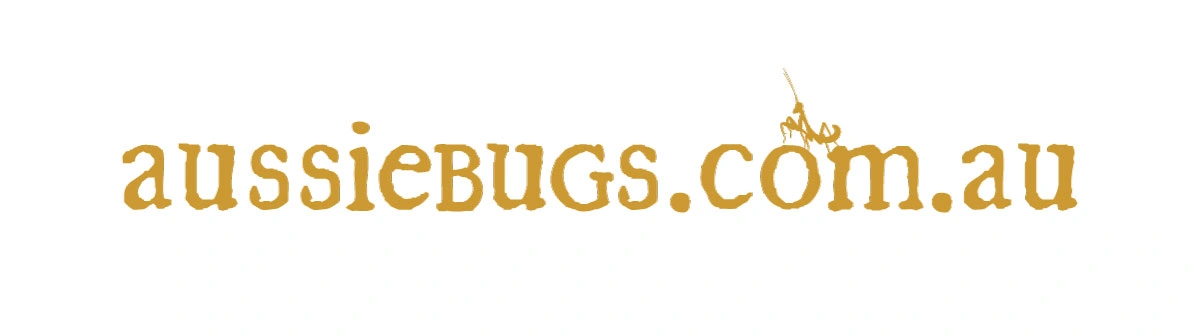 VIPSites Media