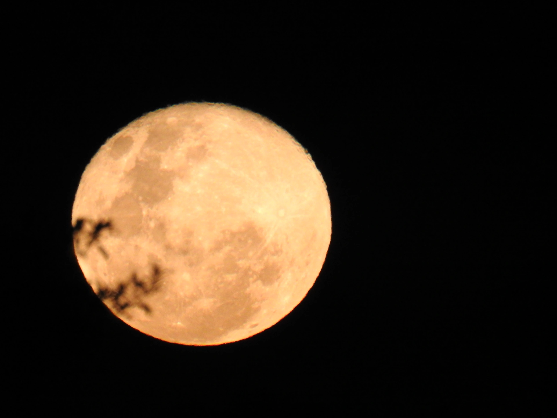 DSCN5504.JPG