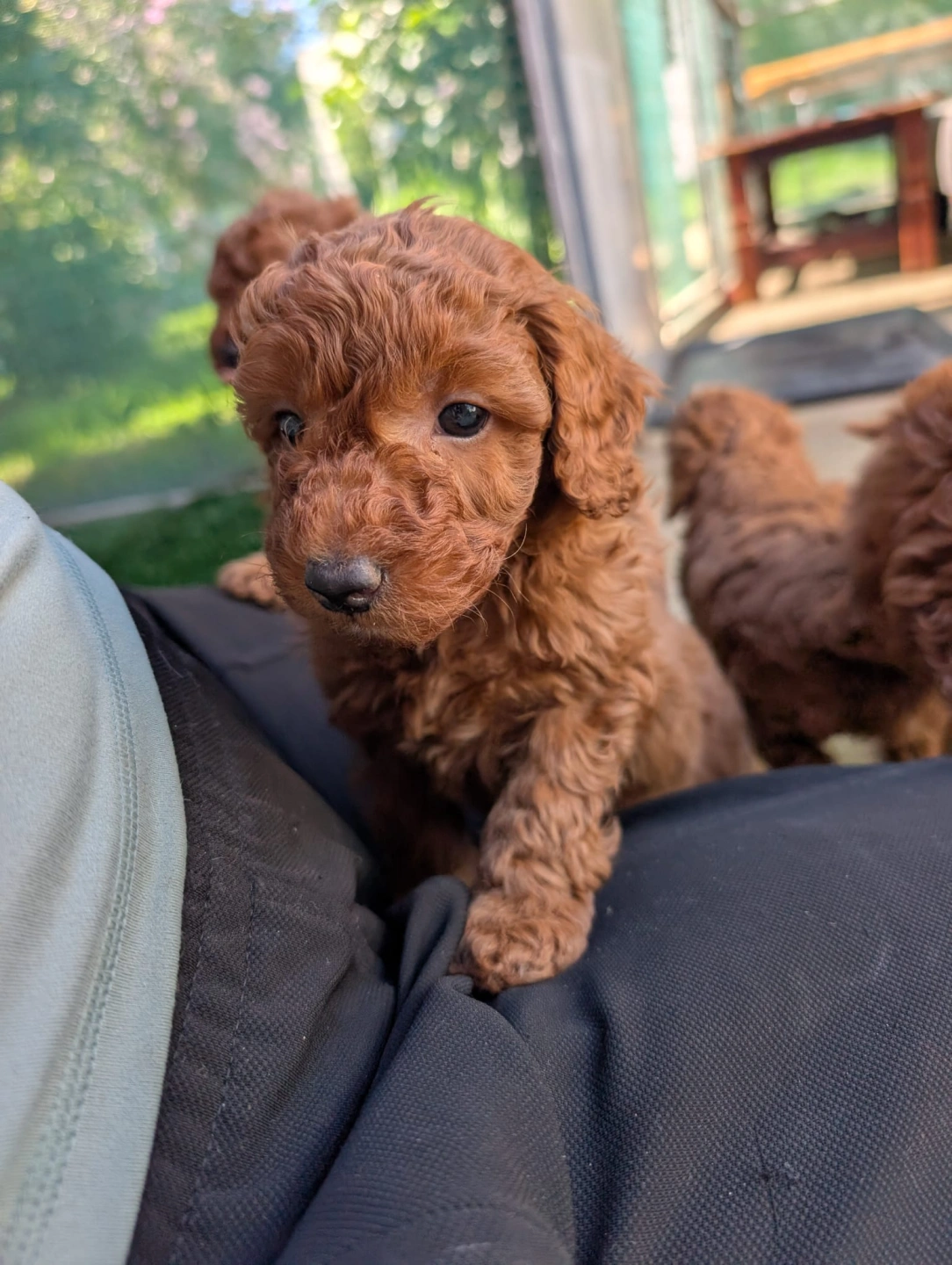 6 eeeks - 2026-03-31 at 5.07.44 PM.jpeg