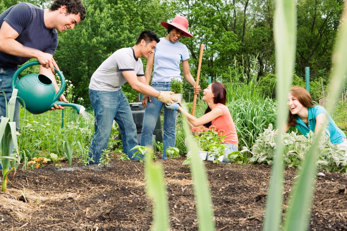 ATP - Community Garden.png