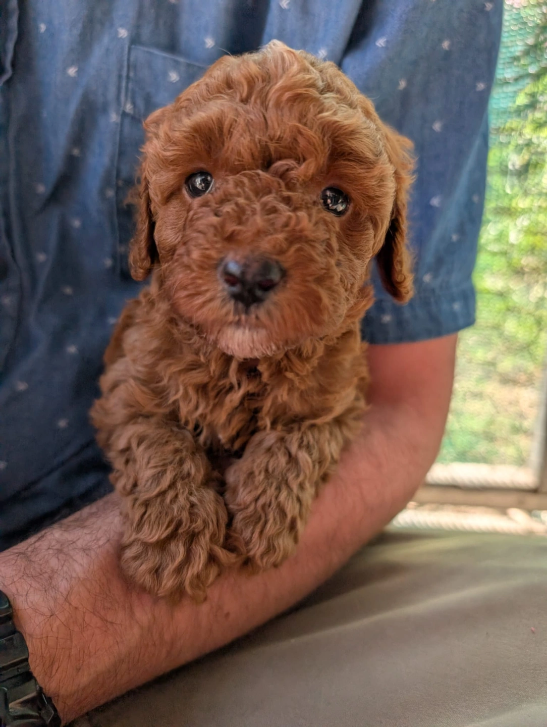 4 weeks - March 23 - 4.jpeg