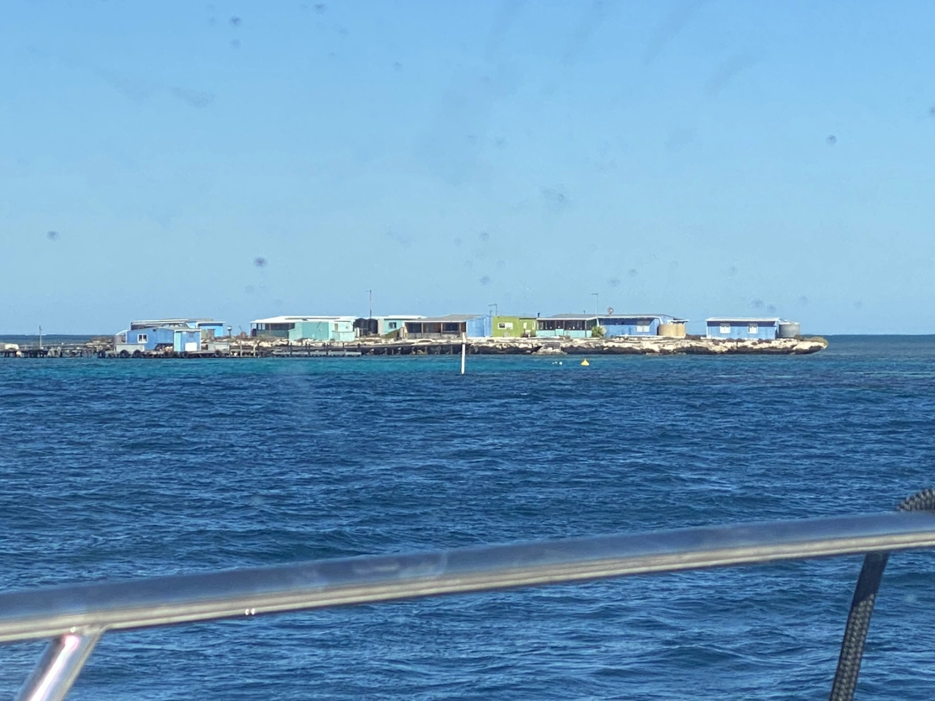 IMG_6774.JPEG