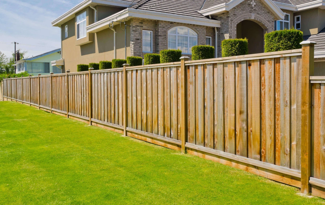 IMG_4065.jpeg