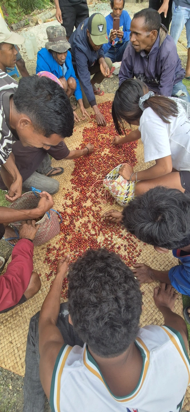 2025-05-03 13.24.25.jpg