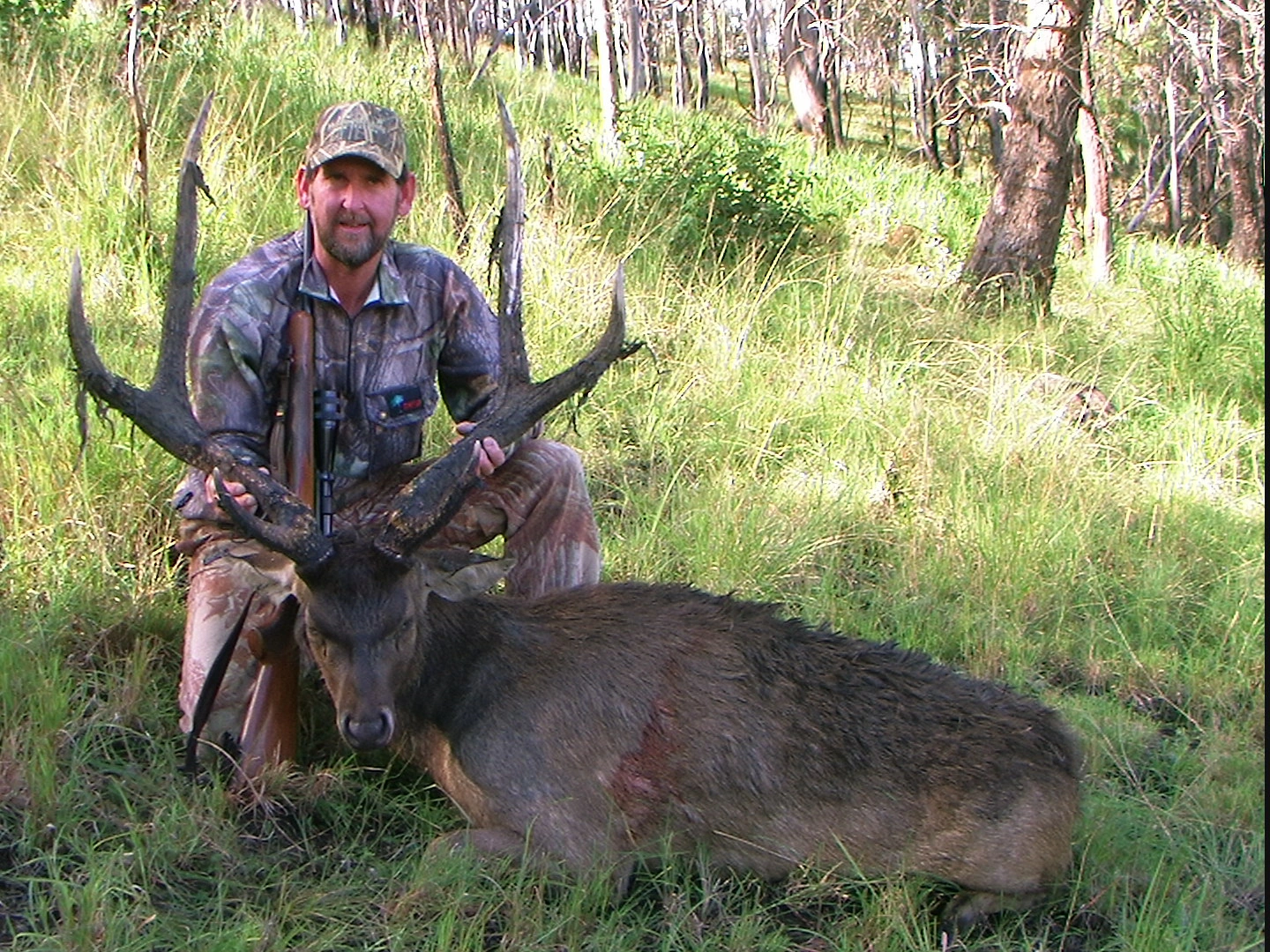 Rusa Hunt 4.jpeg