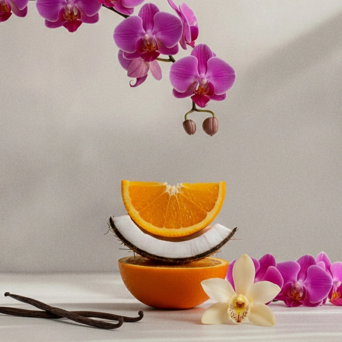 1200x1200SCENTScentNotesCoconutVanillaOrchidRA2026_highres.webp