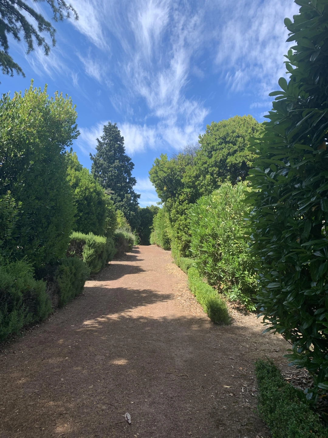cemetary path.jpg