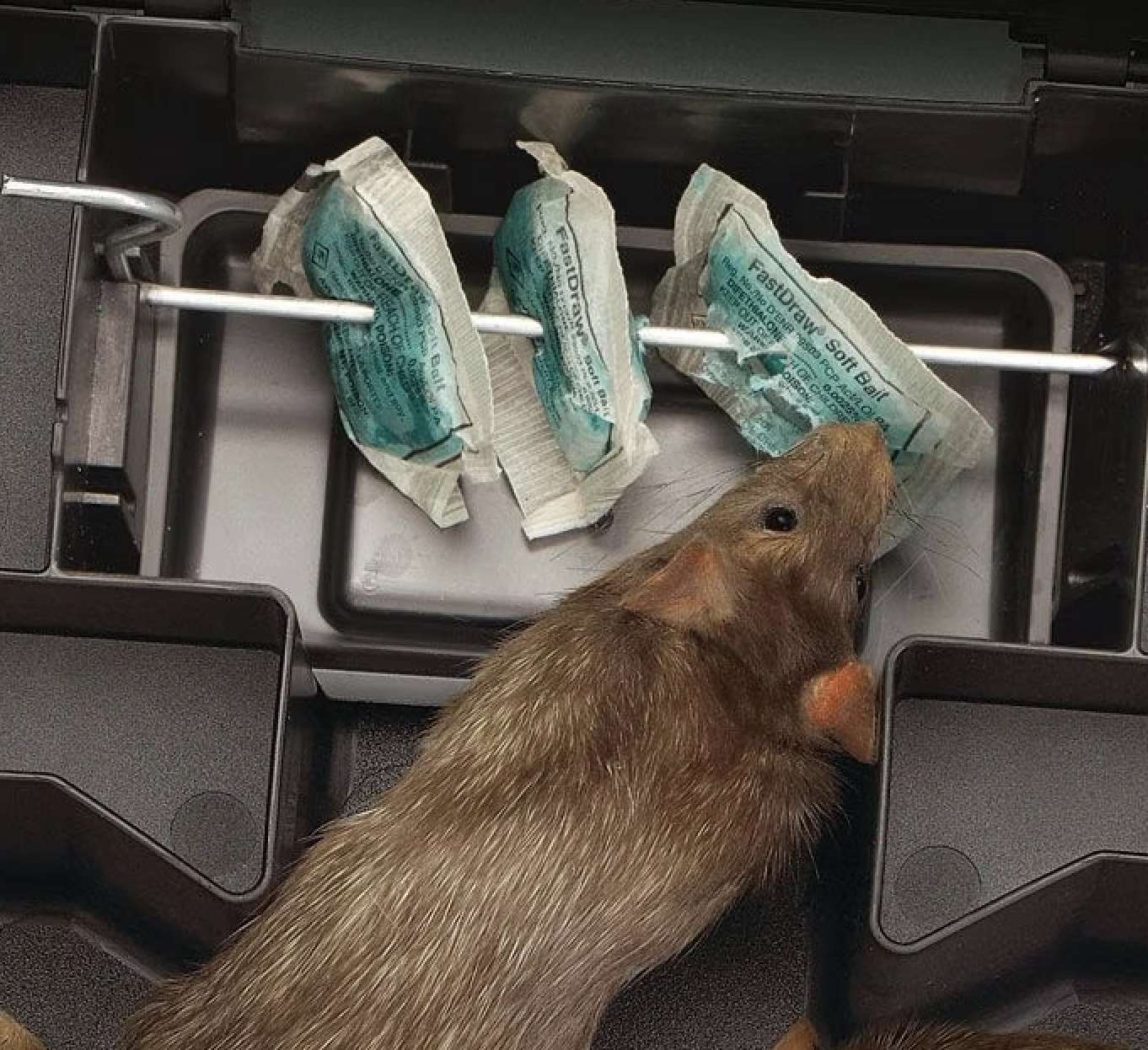 Screenshot 2025-11-29 at 4.10.15 PM.png