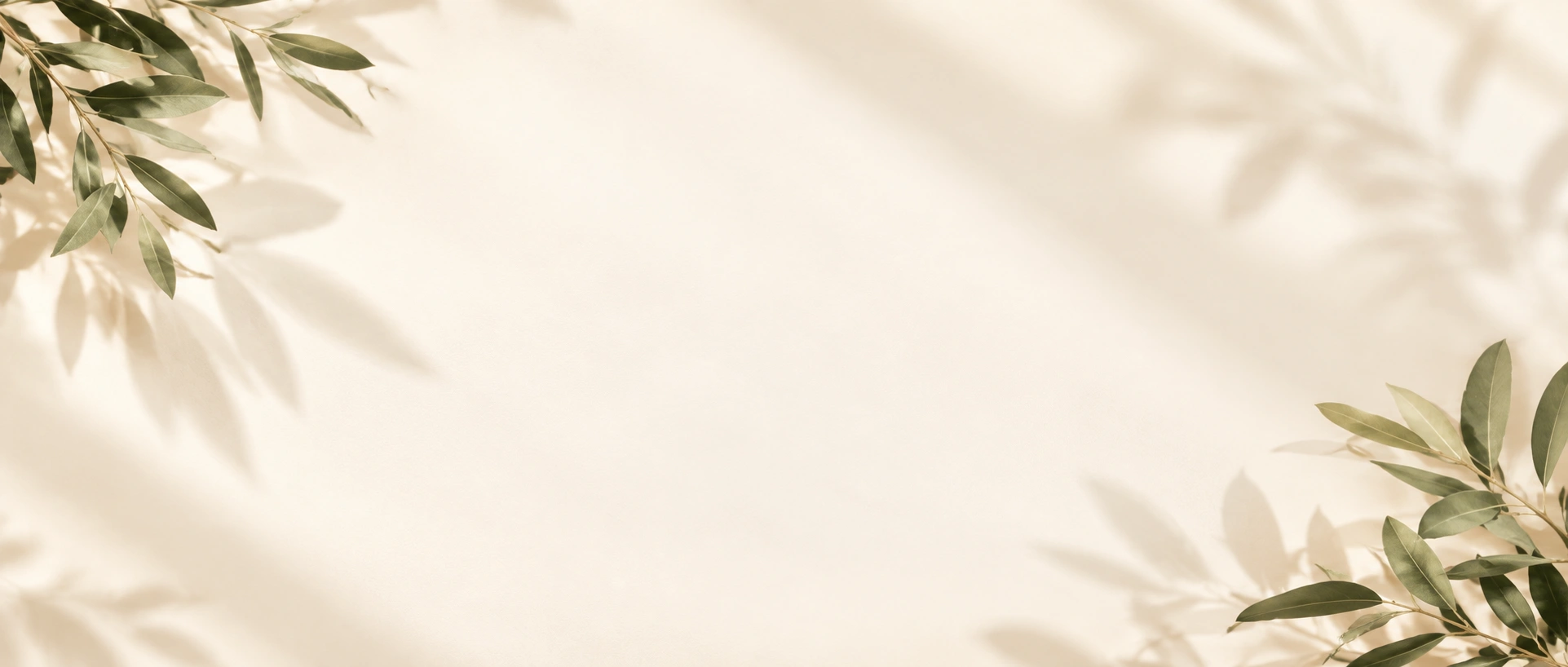 ChatGPT Image Sep 20, 2026, 11_55_40 AM.png