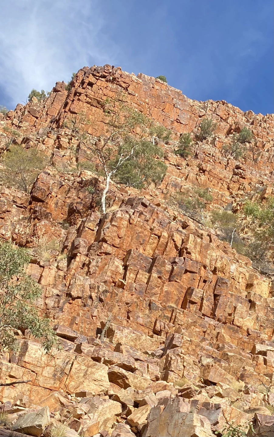 ghost gum ormiston geology (2).jpg