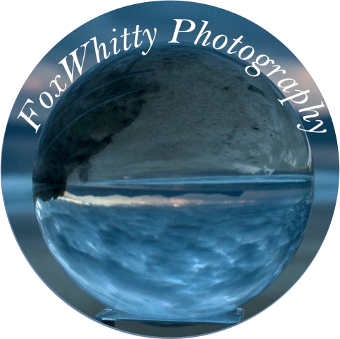 FoxWhitty Photography