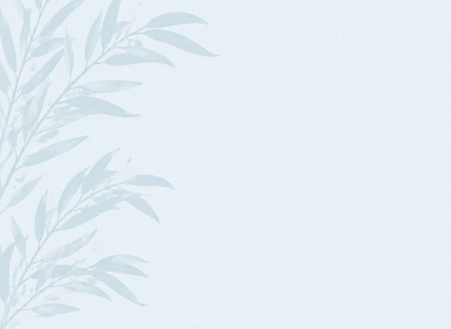 Screenshot 2026-08-19 152555.png