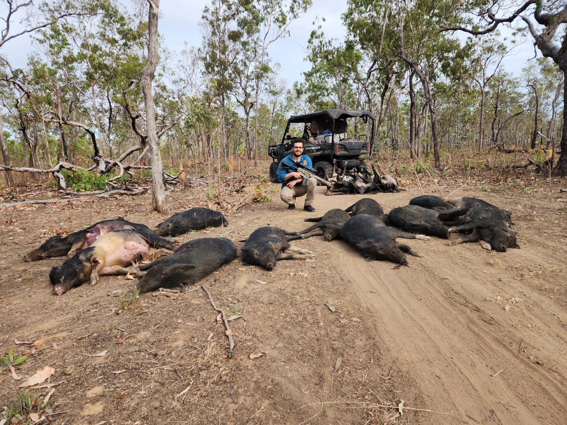 invasive_pest_solutions_pig_field_photo.jpg