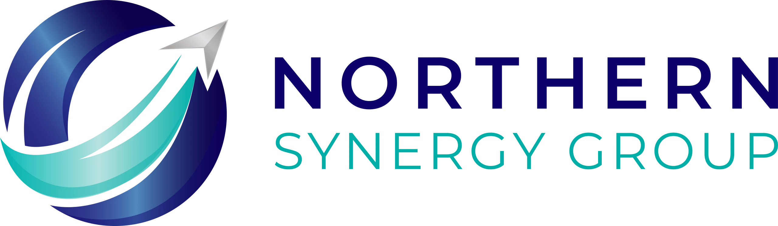 Northern Synergy Group