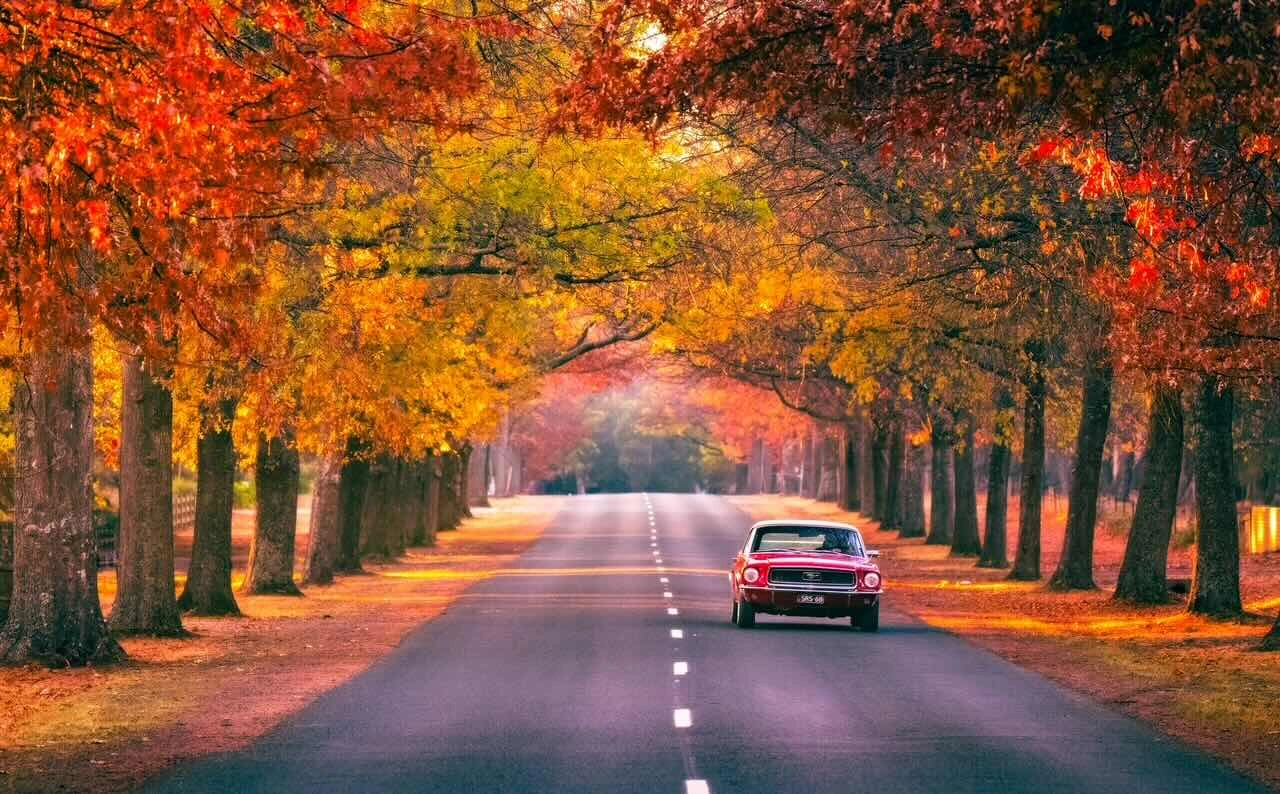 20250501-M27A5172-5a.jpg copy.jpeg