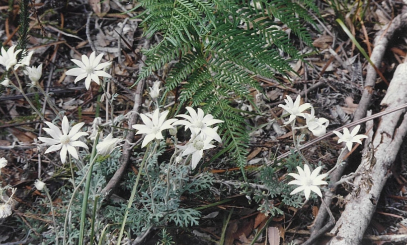 Screenshot 2025-10-14 210106.png