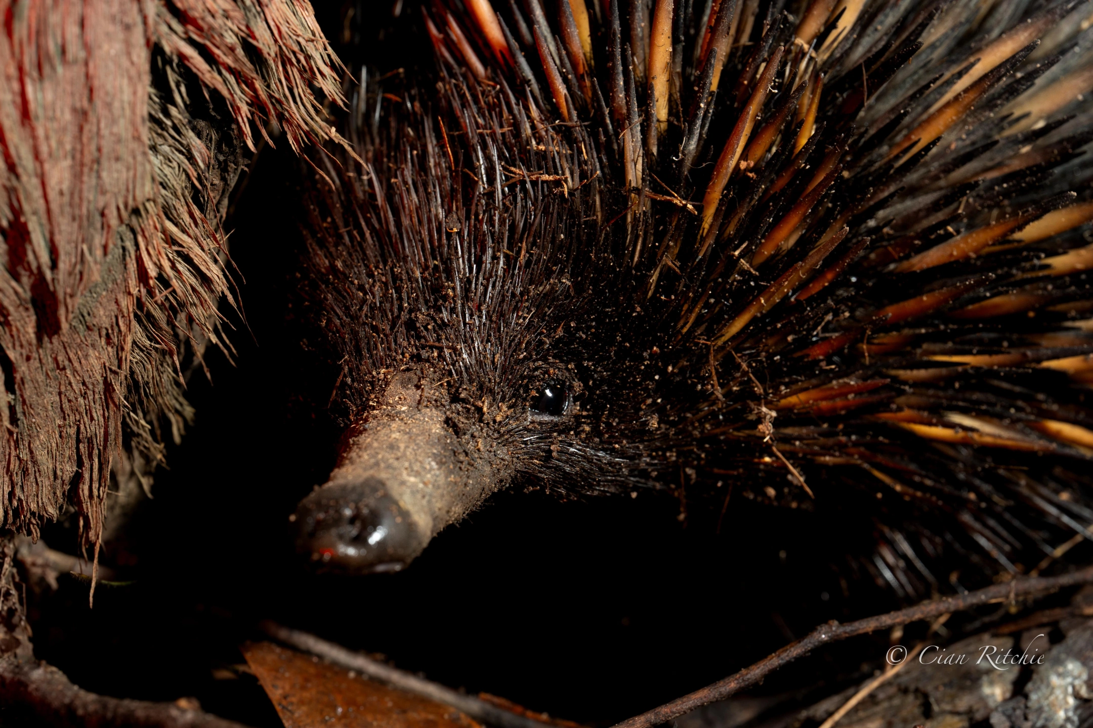 6d9dd8dd-74bf-4ec6-801f-a9db12706610 3.JPG