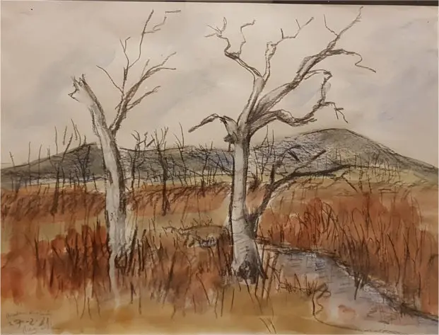 15 Winton Wetlands.jpg