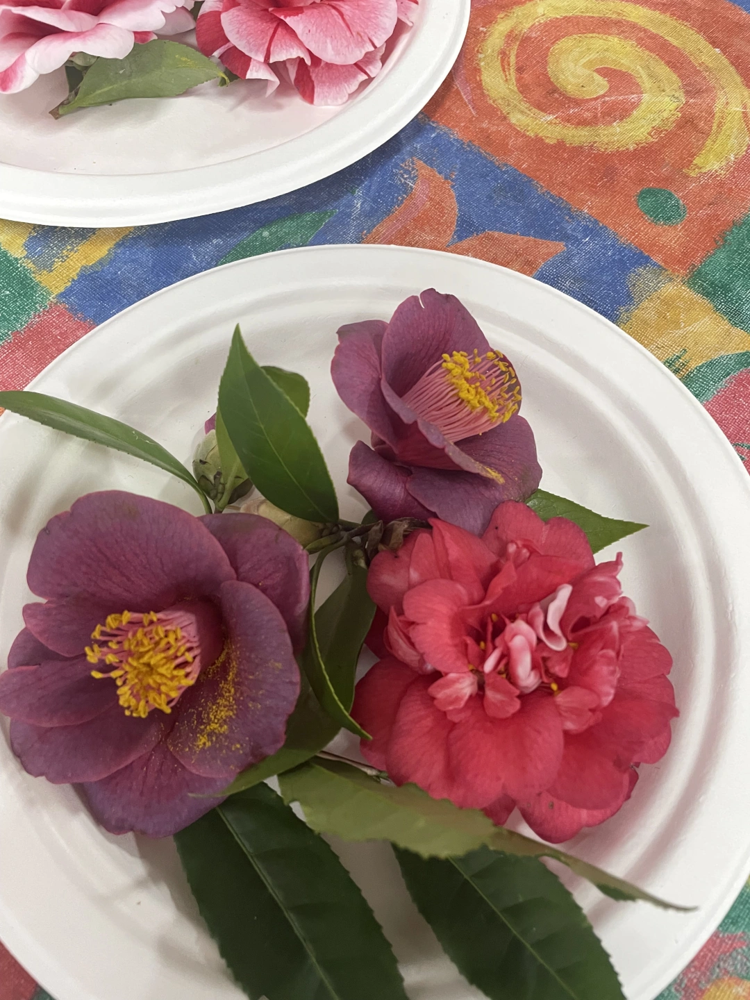 IMG_4771 (1).jpeg