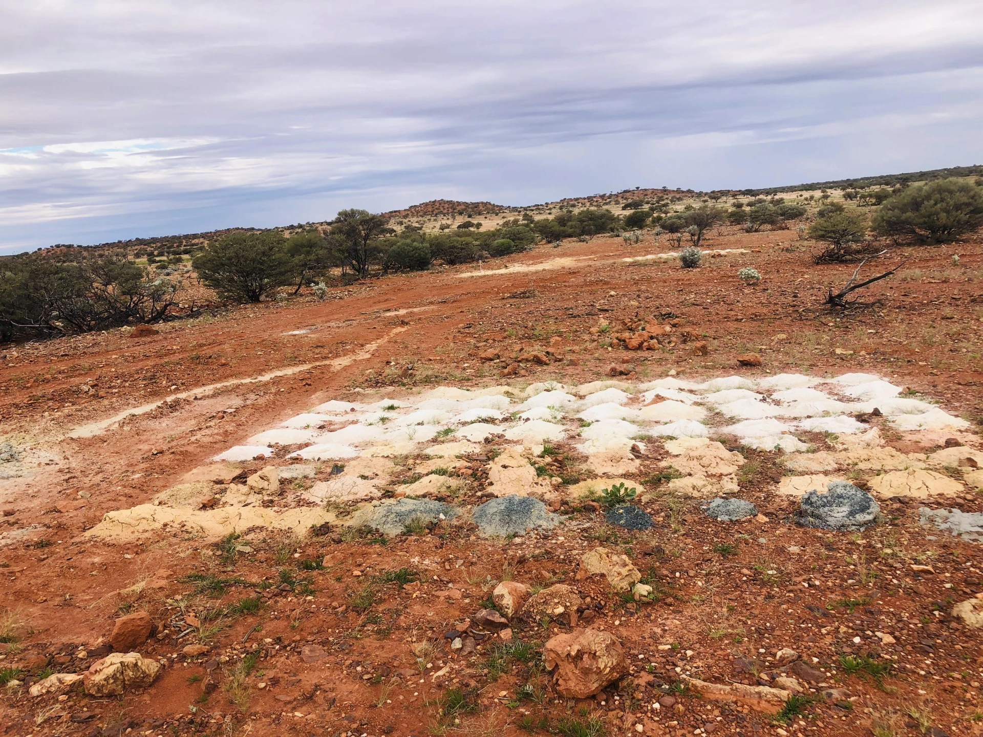 RC Spoils1769329160.jpg