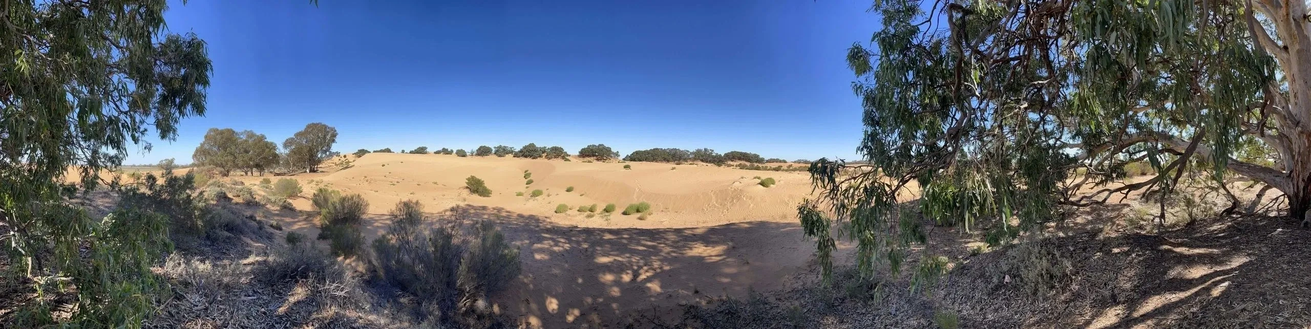 desert.webp