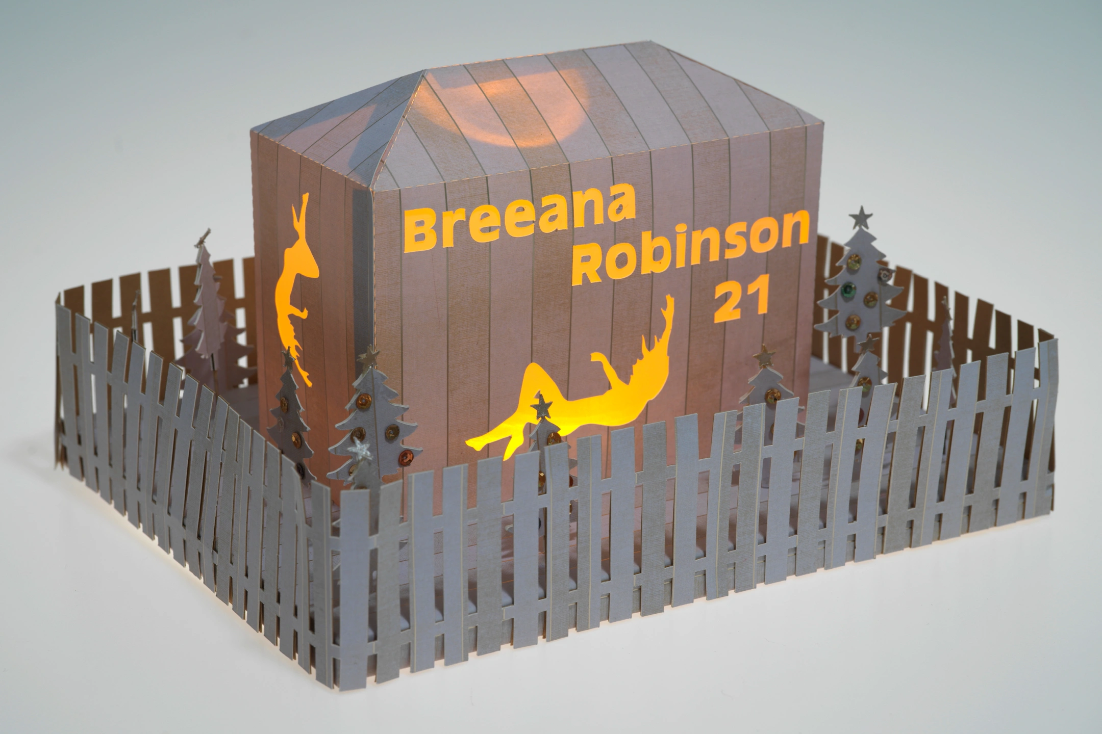 4 Breana Robinson.jpg