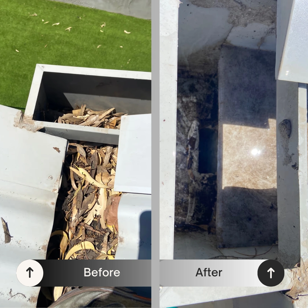 rainhead (before : after).png