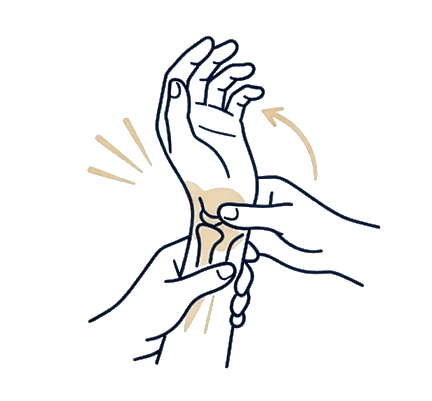 Joint Articulation NoBG.png