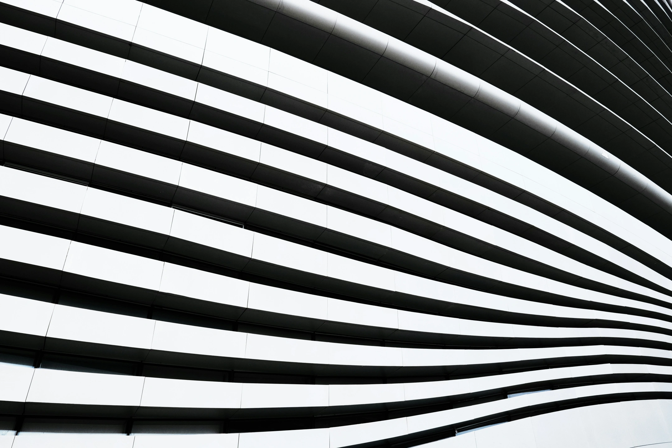 zeng-yili-oN4mwTOpuJw-unsplash.jpg