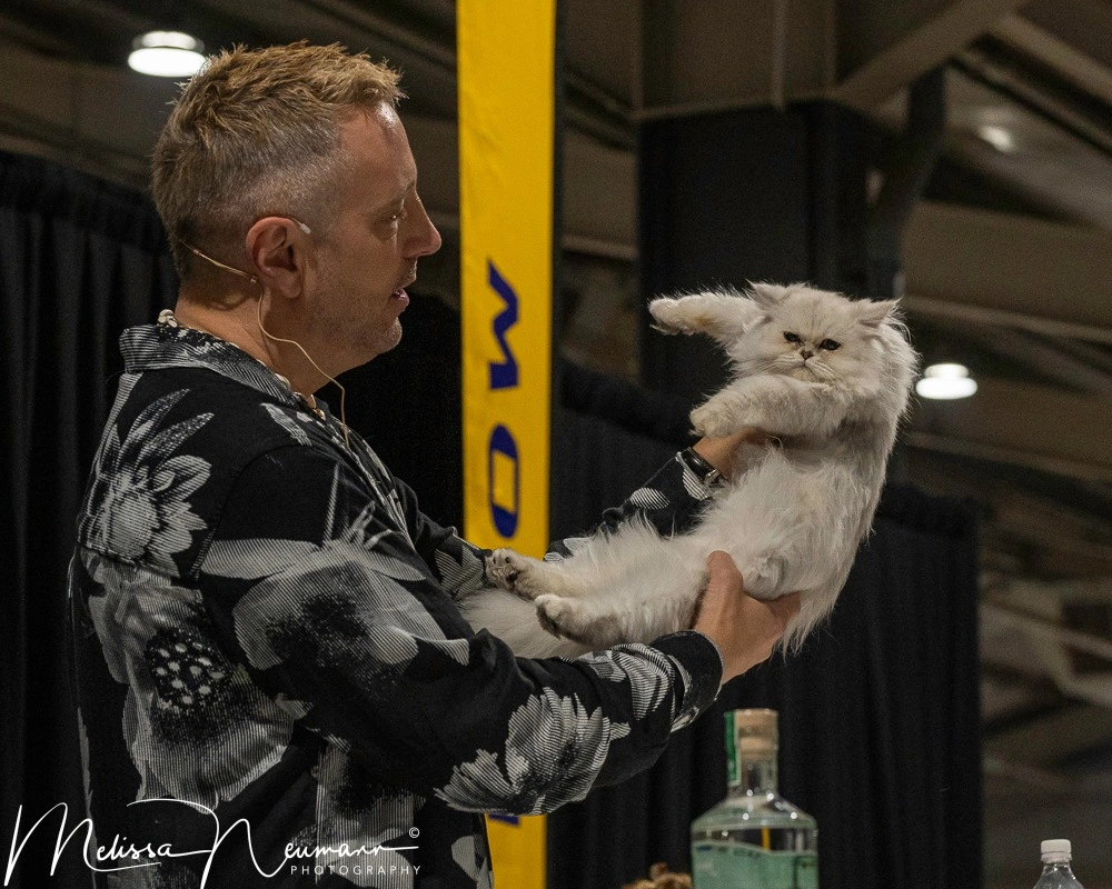 499941807_1457601405216149_4426254162134264265_n (1).jpg