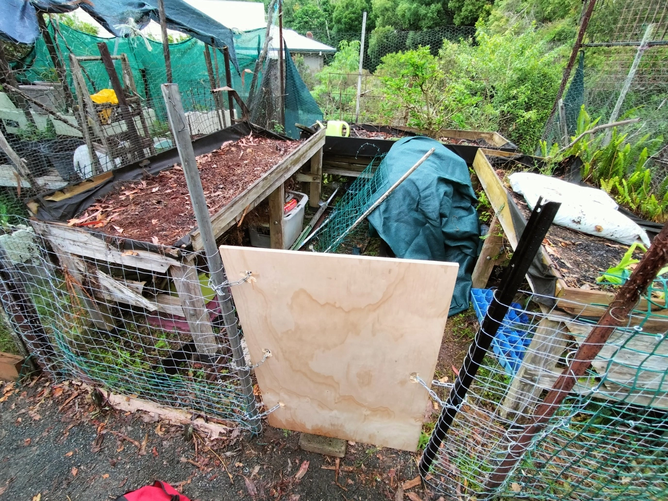 IMG20251109082049.jpg