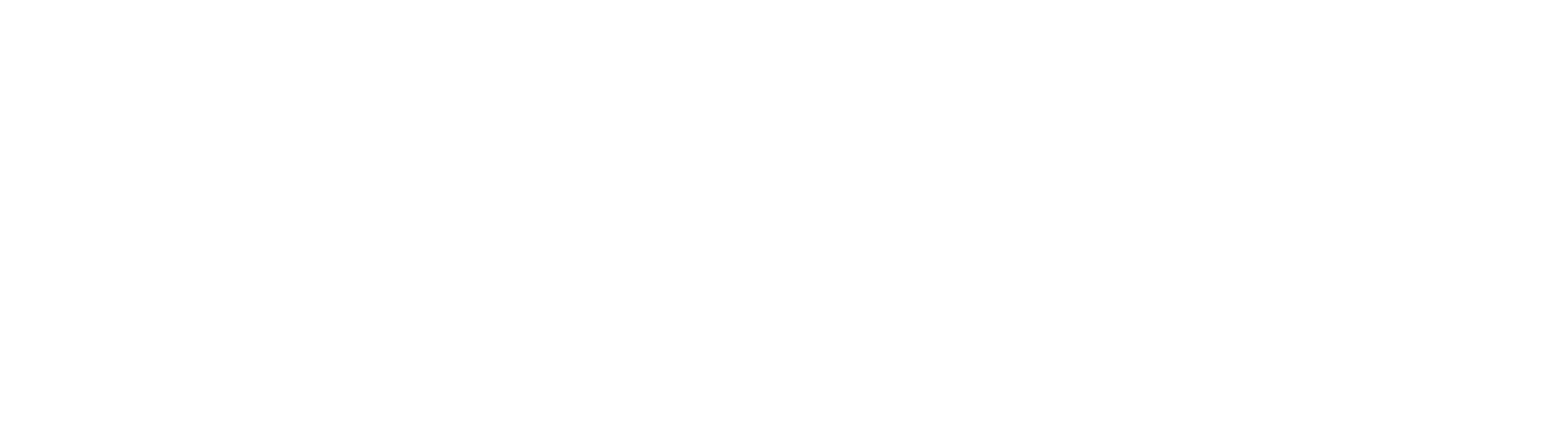 arion-reverse.png