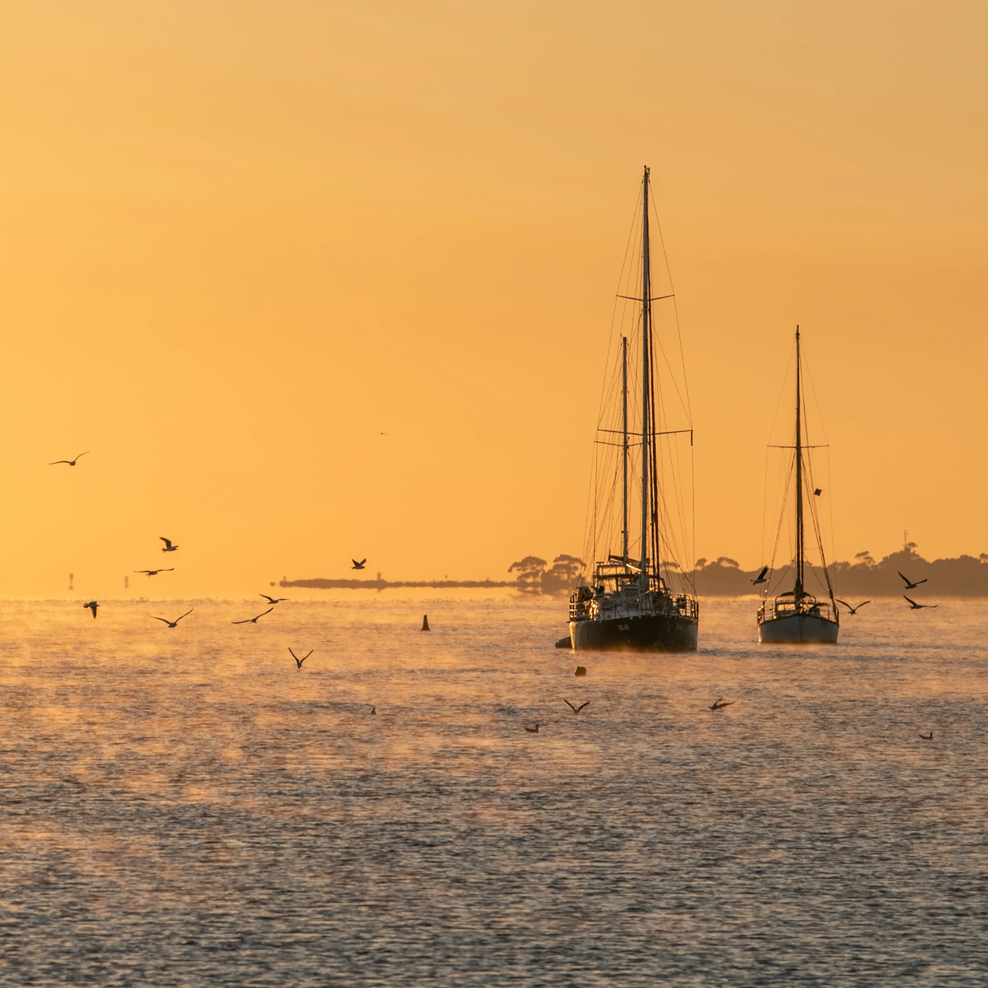 Kay Gibbons Buckwell.jpg