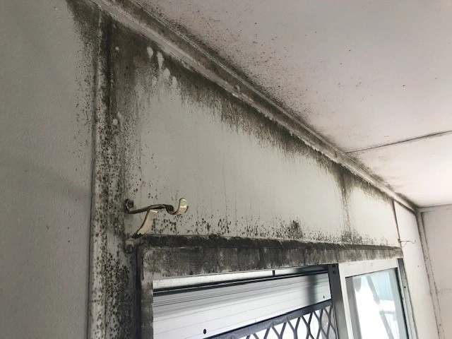 mould.jpg