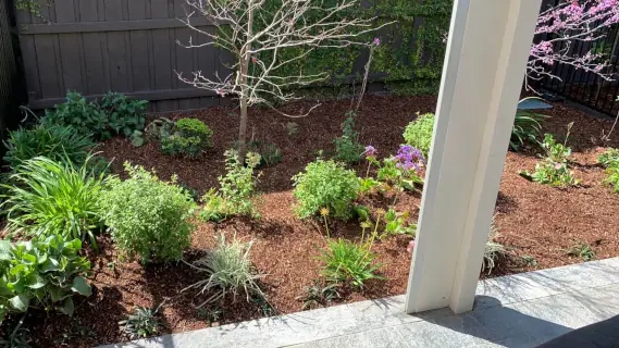 20260922-03-569x320.webp