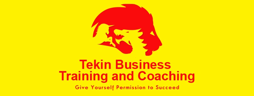 TEKIN Business Training & Coaching