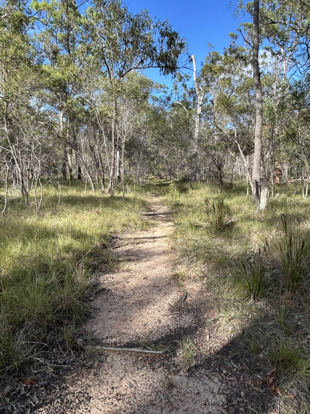 IMG_1308 (1) (1).jpg