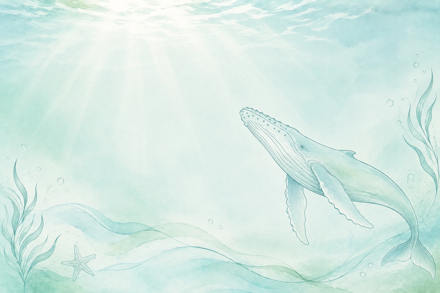 whale.png