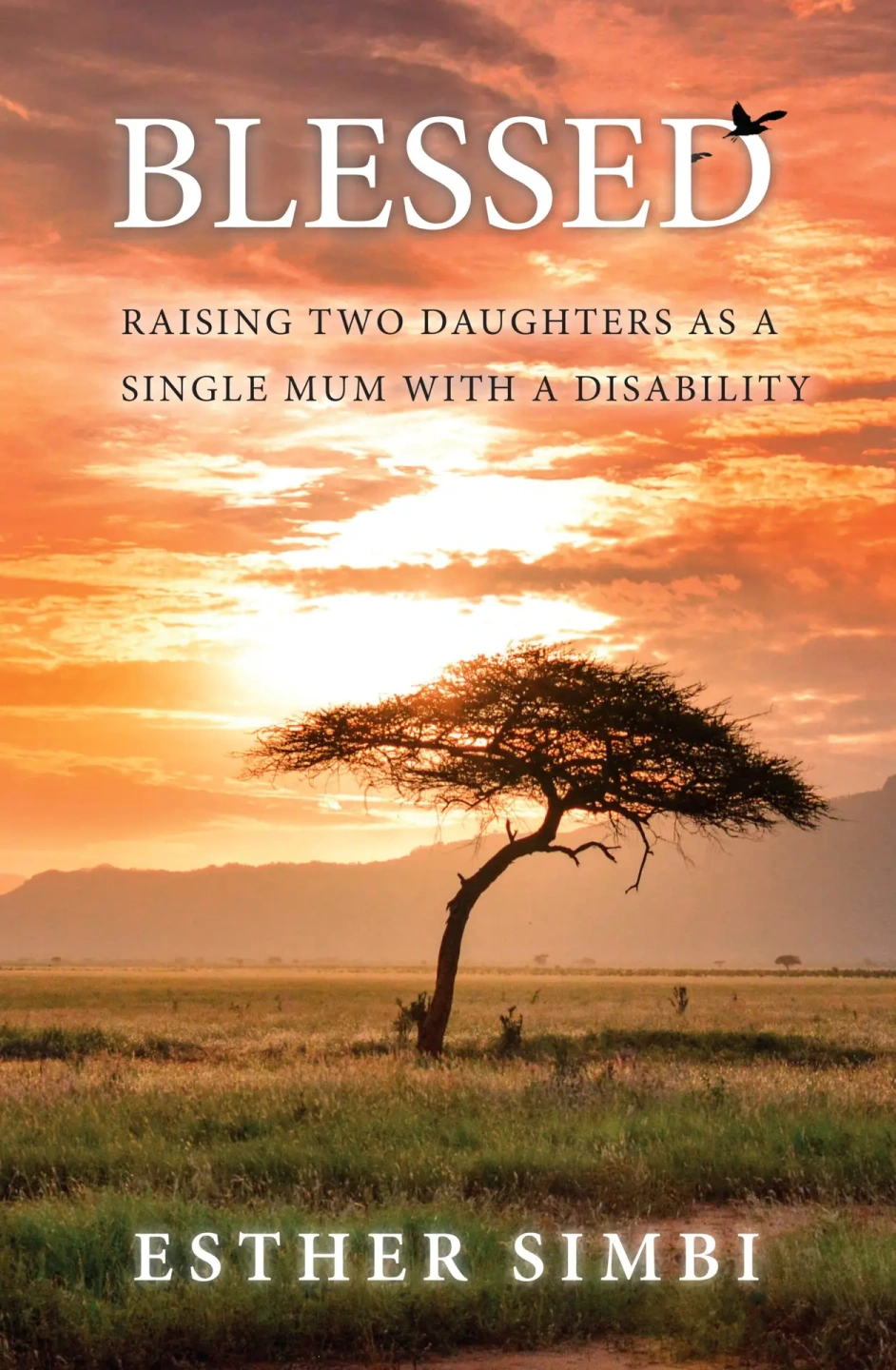 Blessed Book Cover.webp