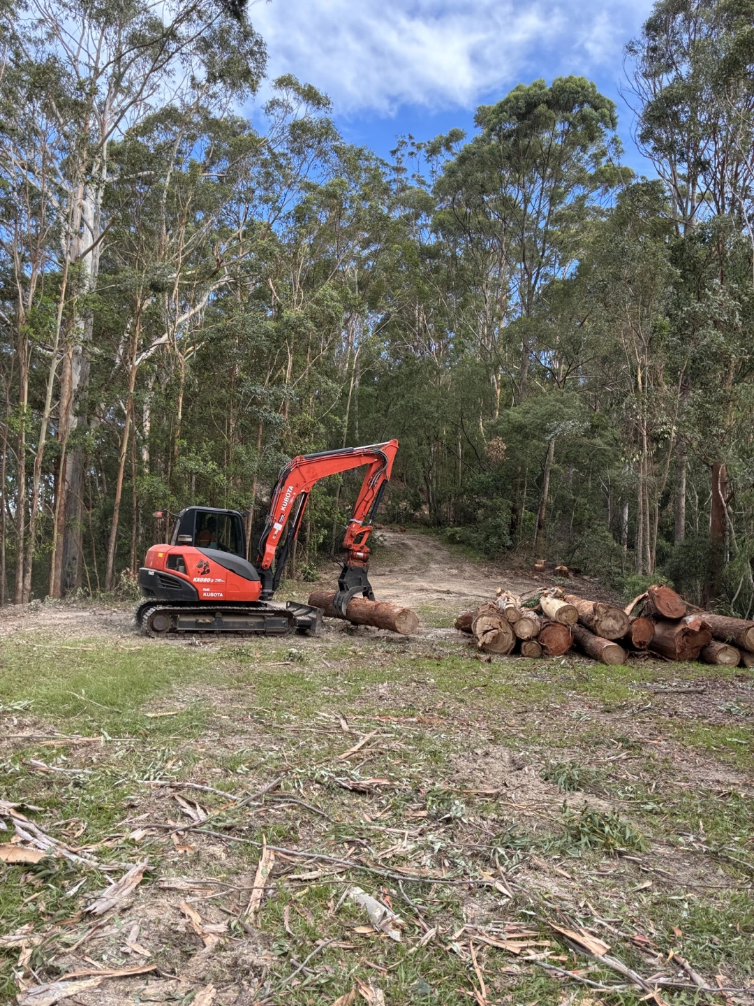 Tree Clearing_6.jpg