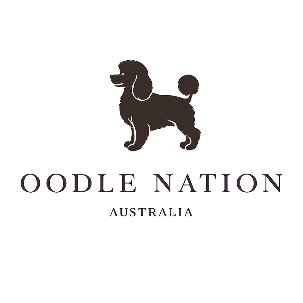 Oodle Nation.png