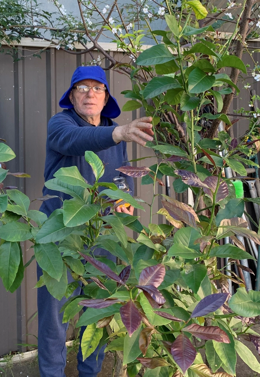 Dad in the garden.jpg