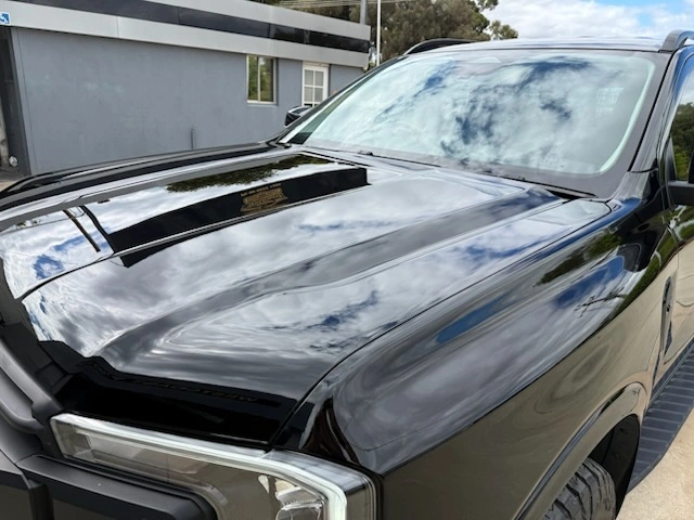 car11.jpg